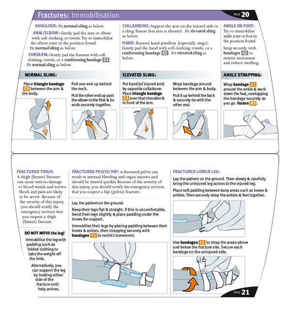 Information Design Aide System Guidebook