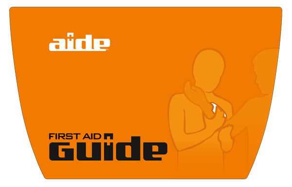 Information Design Aide System Guidebook